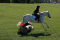Violet Cross on Elpin Odin, Beginner Novice Horse Trials Junior B