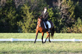 Paula McConnell on Summers Lilac, Dressage Only: Beginner Novice A