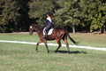 Shannon Daily on Pitt Maneuver, Novice Horse Trials Senior B