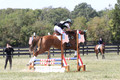 Audra Bielke on Fletcher Christian