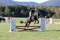 Lauren Seitz on Lyra Belacqua WRF, Advanced Green Combined Test