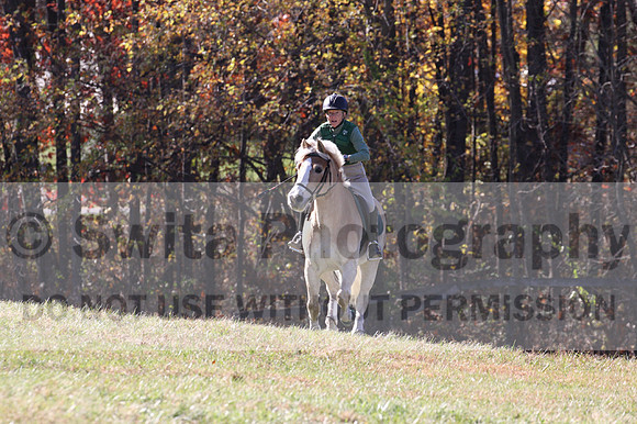 Sally Nunneley on Gingerman, Beginner Novice Horse Trials Senior A