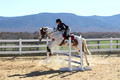 Corrine Woods on Chief's Star Dreammaker, Beginner Novice Horse Trials Senior B