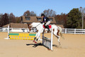 Corrine Woods on Chief's Star Dreammaker, Beginner Novice Horse Trials Senior B
