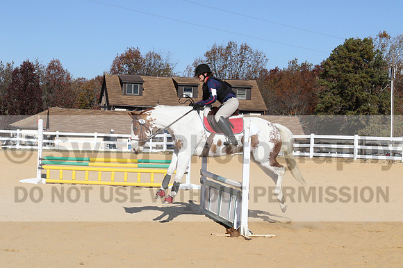 Corrine Woods on Chief's Star Dreammaker, Beginner Novice Horse Trials Senior B