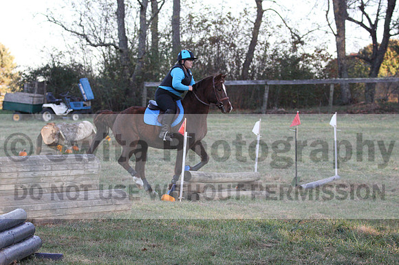 Alison O'Connor on Harwich Maximus, Green Horse Trials Senior