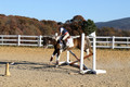 Reagan Roy on Paint By Numbers, Green Horse Trials Junior