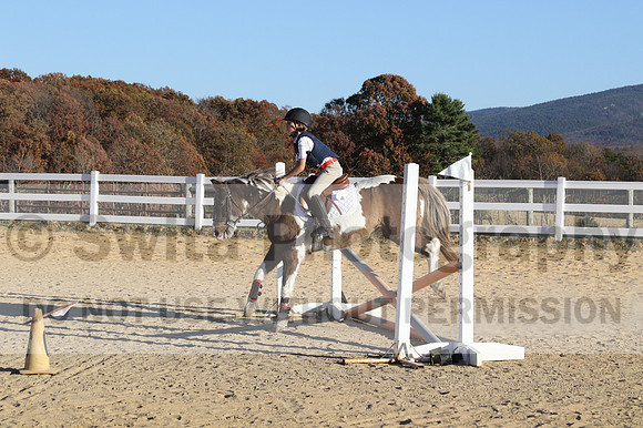 Reagan Roy on Paint By Numbers, Green Horse Trials Junior