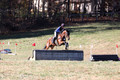 Francesca Toms on Top Secret, Novice Horse Trials Junior