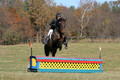 CJ Weldon on Talleyrand, Novice Horse Trials Senior