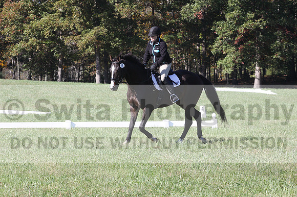 Mimi Combs on Aristocrat, Beginner Novice Horse Trials Senior A