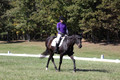 Judy Lancaster on Ride Sallie Ride, Beginner Novice Horse Trials Senior B