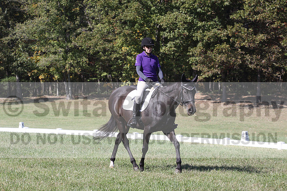 Judy Lancaster on Ride Sallie Ride, Beginner Novice Horse Trials Senior B