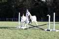 Jeanne Jeffer on Snowball's Chance, Green Horse Trials