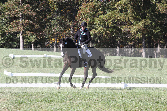 Mimi Combs on Aristocrat, Beginner Novice Horse Trials Senior A