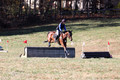 Francesca Toms on Top Secret, Novice Horse Trials Junior