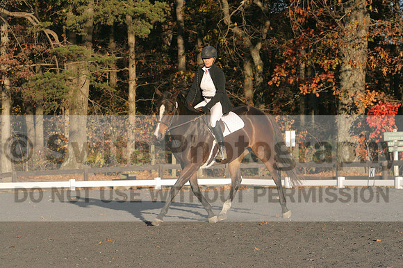 Thea Miller on Something Glamorous, Dressage Only: Training Level, Test 3