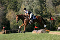Alexandria Morocom on Da Lime and Da Coconut, Advanced Green Horse Trials B