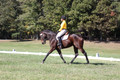 Emily Digney on American Airman, Beginner Novice Horse Trials Senior B