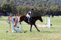 Alexandria Morocom on Da Lime and Da Coconut, Advanced Green Horse Trials B