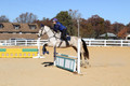 Brynn Katany on Cady O'Daly Artisan, Beginner Novice Horse Trials Junior A