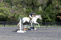 Elizabeth Larson, Defies Gravity