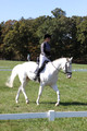 Kay Brady on Destiny's Mystique, Beginner Novice Horse Trials Senior C