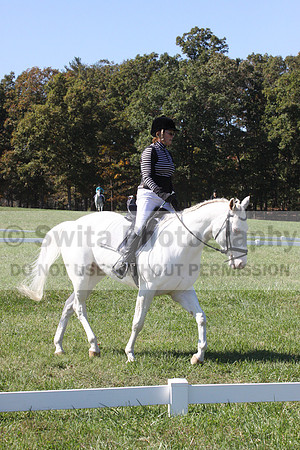 Kay Brady on Destiny's Mystique, Beginner Novice Horse Trials Senior C