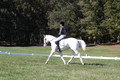 Kay Brady on Destiny's Mystique, Beginner Novice Horse Trials Senior C