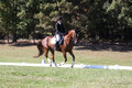 Emily Kagey on Flicka, Beginner Novice Horse Trials Junior A