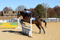 Shannon Daily on Pitt Maneuver, Novice Horse Trials Senior