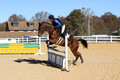 Francesca Toms on Top Secret, Novice Horse Trials Junior