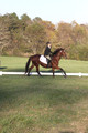 Paula McConnell on Summers Lilac, Dressage Only: Beginner Novice A