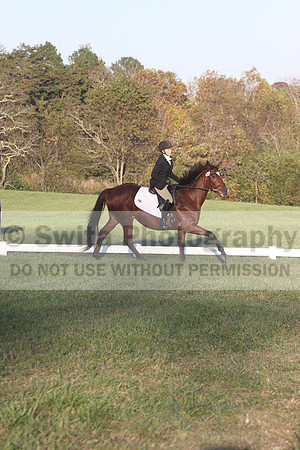 Paula McConnell on Summers Lilac, Dressage Only: Beginner Novice A