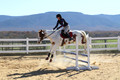 Corrine Woods on Chief's Star Dreammaker, Beginner Novice Horse Trials Senior B