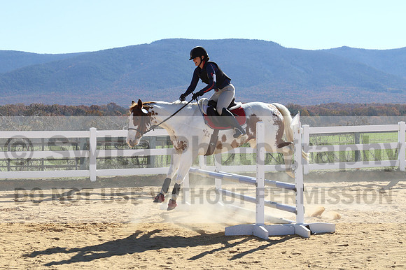 Corrine Woods on Chief's Star Dreammaker, Beginner Novice Horse Trials Senior B