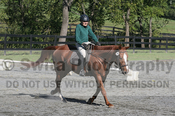 John Weir on Admiral, Dressage Only: Training Level, Test 2/3