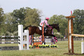 Charlotte Collier on Clifford M