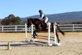 Erica Jones on Bingo, Advanced Green Horse Trials Senior A