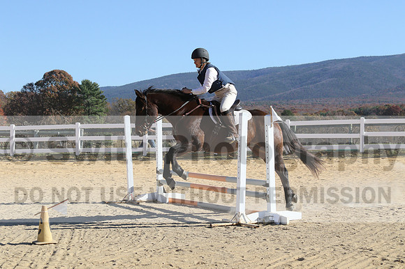 Erica Jones on Bingo, Advanced Green Horse Trials Senior A