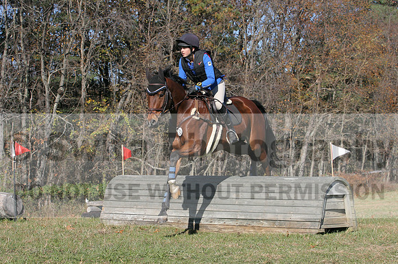 Francesca Toms on Top Secret, Novice Horse Trials Junior