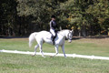 Kay Brady on Destiny's Mystique, Beginner Novice Horse Trials Senior C