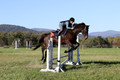 Carol Brickey on Throwing Stones, Advanced Green Horse Trials B