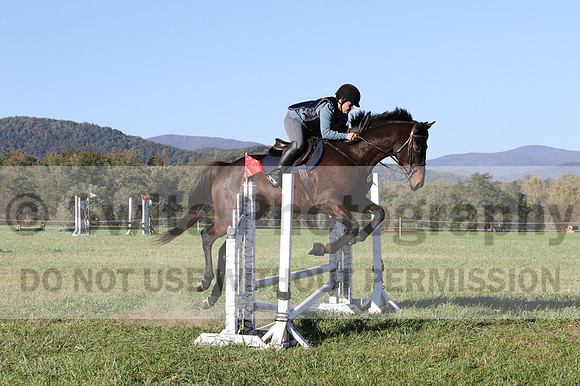 Carol Brickey on Throwing Stones, Advanced Green Horse Trials B
