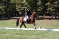 Emily Kagey on Flicka, Beginner Novice Horse Trials Junior A