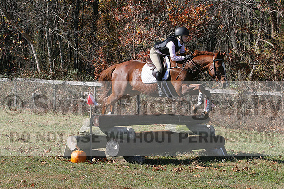 Julia Rhinehart on On A Quest, Novice Horse Trials Senior