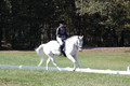 Kay Brady on Destiny's Mystique, Beginner Novice Horse Trials Senior C