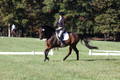 Margo Hardy on Soling's Hat Trick, Novice Horse Trials Senior B