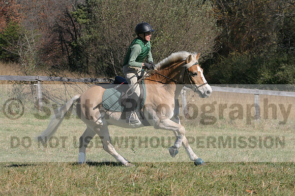 Sally Nunneley on Gingerman, Beginner Novice Horse Trials Senior A