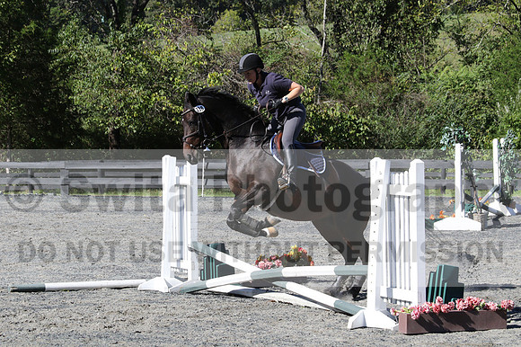 Lauren Seitz on Lyra, Green Combined Test